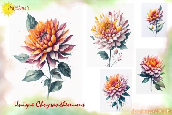 Download Unique Chrysanthemums - Unique Collection